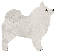 Converse DRACO MALFOY — “Draco”