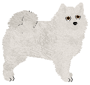 Profile image of Converse DRACO MALFOY