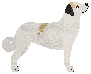 Cansas' The Moon Cave — “Okra”