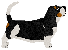 Providence Levi Straus — “Strauss”