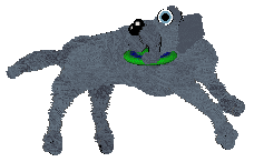 Aura's Futago Pass — “Gin”