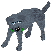 Aura's Futago Pass — “Gin”