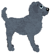 Aura's Futago Pass — “Gin”