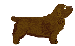 Aura's Bulwark of the Achaeans — “Ajax”