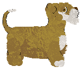 Rosestone's Question Sunrise — “Aara”