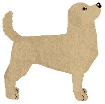 Peregrine Smell The Roses — “Blossom”