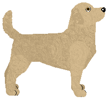 Peregrine Smell The Roses — “Blossom”