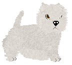 Vivaldi Winter Sun — “Coco”