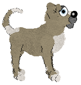 Cargo's Silks and Satins — “Daphine”