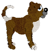 Cargo's Bones Buried Six Feet Deep — “Digorie”