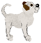 Cargo's Grave Robbing — “Robbie”