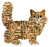 Taremu Tangy Vanilla Bean — “Venti”