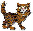 Profile image of Kell's That Bitch Carole Baskin