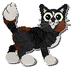 Profile image of Witz Club Penguin