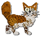 Profile image of Calluna's Highly Educated