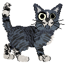 Witz Please Stop Calling Me — “Lester”