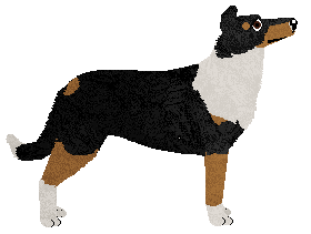 Wulver Smooth Masculinity — “Kenneth”