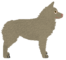 Blizzard BAGNISKO — “Seshel”