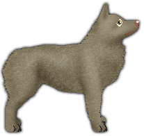 Profile image of Blizzard BAGNISKO