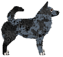 Blizzard POPIOŁEK — “Vran”