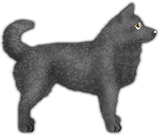 Profile image of Blizzard SZARÓWKA