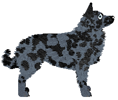 Blizzard Strive for Perfection — “Peryferia”