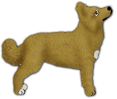 Profile image of Babilona Bandits LOVE SOMEONE