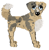 Profile image of Sz's Sunlight