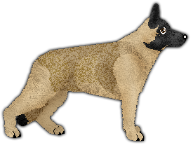 Profile image of DAME von Edelshof