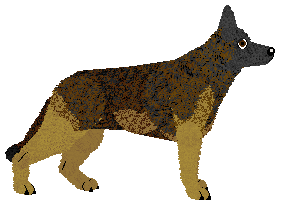 KRAFT von Edelshof — “Kraft”