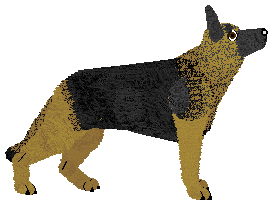 WINDSTILLE von Edelshof — “Ratata”