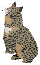 Profile image of Vanilla's Hear Me Rory