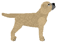 Vanilla's Bread & Butter — “Benny”