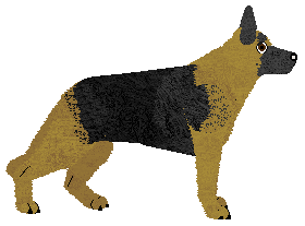 HONIG von Edelshof — “Honey”