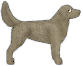 Profile image of Blizzard Castle of Glass