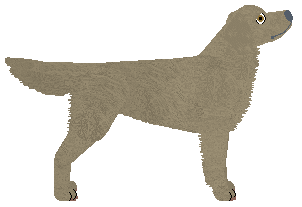 Blizzard Resilience — “Res”