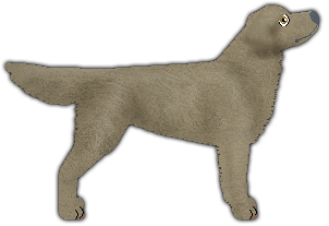 Profile image of Blizzard Resilience