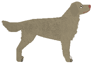 Blizzard Don't Lose Your Dignity — “Dignity”