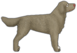 Profile image of Blizzard Don't Lose Your Dignity