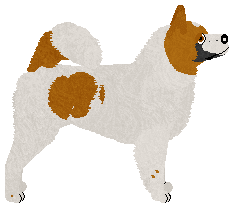 TZC's WAITING FOR THE SUNRISE — “Diestra”