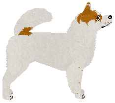 Nothern Light's ROADS UNTRAVELED — “Castell”