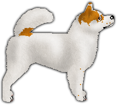 Profile image of Nothern Light's ROADS UNTRAVELED