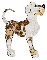 Profile image of Disco!/Tangled's Savor the Moment