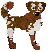 Profile image of Wild Road's Fundamental Things Apply at SzK