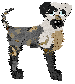 Profile image of Rho's Ice Princess at SzK