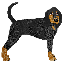 Profile image of Rosestone's Constantly Wandering