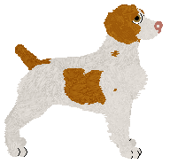 Rosestone's Point To Make — “Goose”