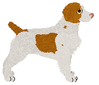 Rosestone's Point To Make — “Goose”