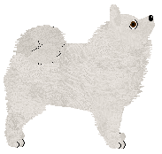 Pins'n'Needles' BELLATRIKS LESTRANGE — “Bella”