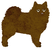 Profile image of Converse ASTORIA GREENGRASS